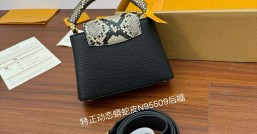 LV 精仿原單N95509 CAPUCINES 迷你手袋¥3,180.00